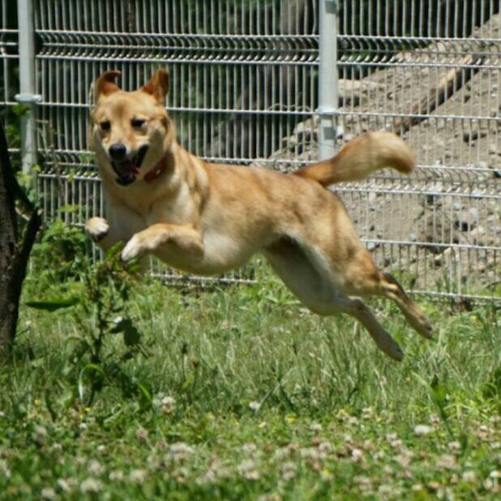 15c399a5 d480 48bc 8601 20b382c24960