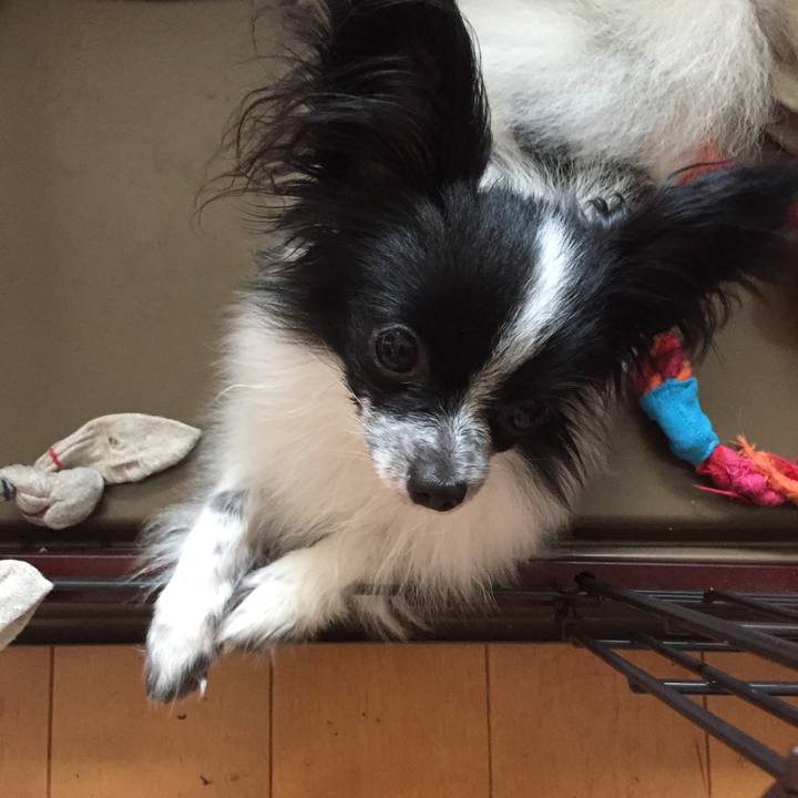 15c3a1d8 a1a8 48ce 81ec 5ba5f36a1f0b