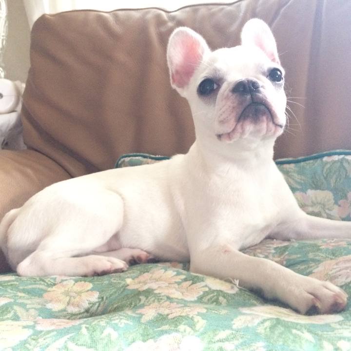 15c3c01a aecc 4add 8bbd 8797934796f4