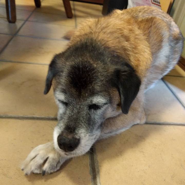 15c44a22 7241 4f0d a9ba 4264f44fffee