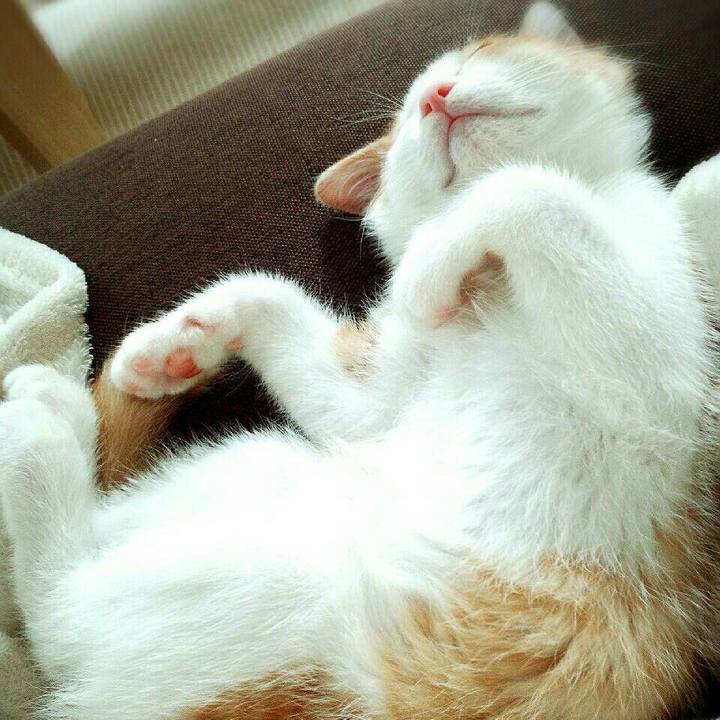 15c50833 0a3f 4553 b8b5 d5843868ed8d