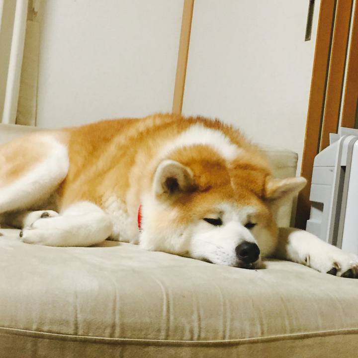 15c59c53 e663 4092 9c6f 22057a935cf1