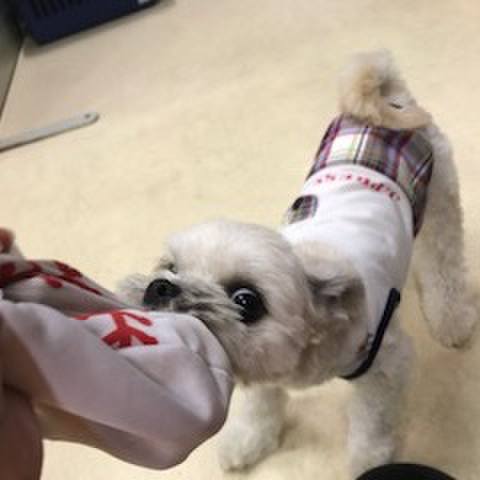 15c5b66b 054b 4472 9cfe 49d159dc0e1e