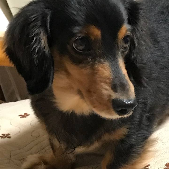 15c68d17 641f 49d2 8a17 f39025b9ea0d