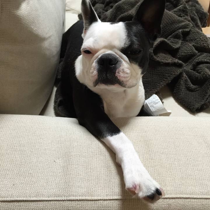 15c6cf16 e7c2 4af2 b8f0 ab951552335e