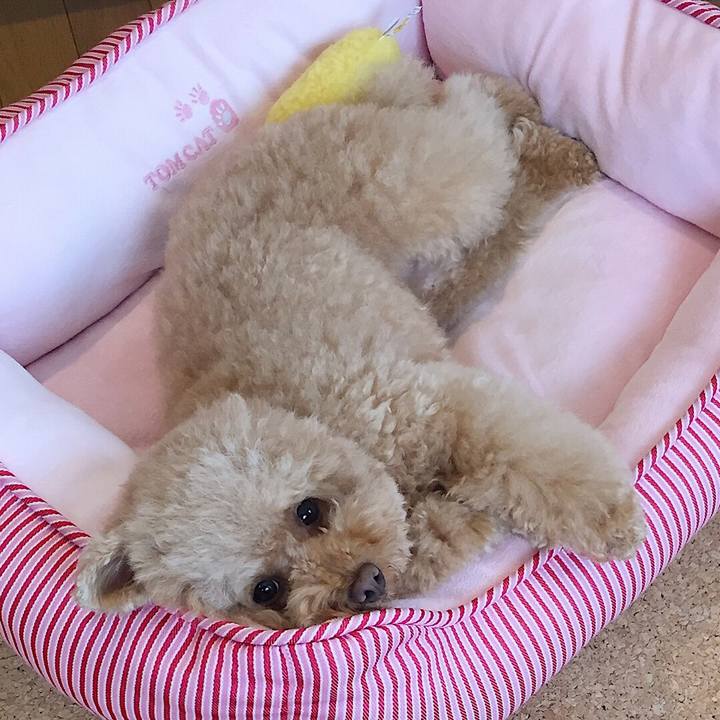 15c73f2f e2c7 450d af73 d6c5e1d41e88