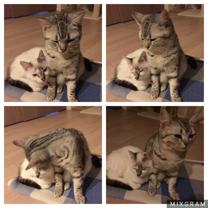 15c83b0d 23c3 44aa 8f00 0a31af532e3b