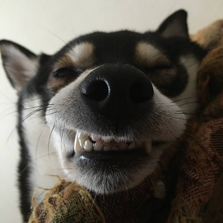 15c85f2f e435 4304 a3fc 8c0eb6fd5b88