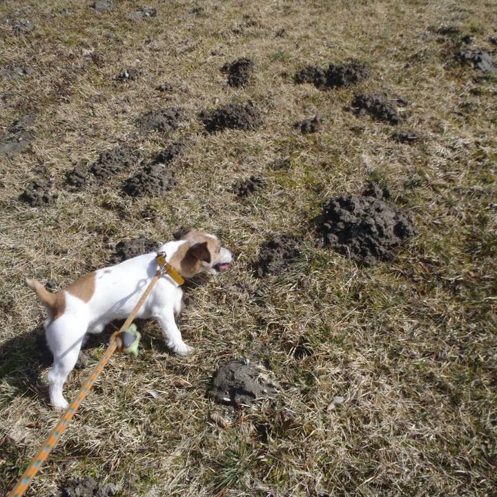 15c87933 2436 46f1 b9c8 59c908bd2c4a