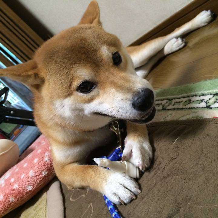 15c8b5b9 cdfe 4a20 b513 93a6aecc27d0