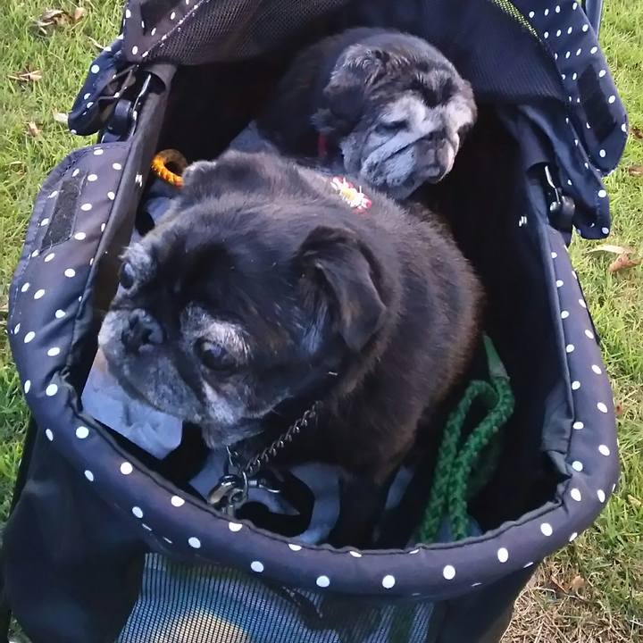 15c965b8 c9ef 4624 95b1 783c9ea61c26