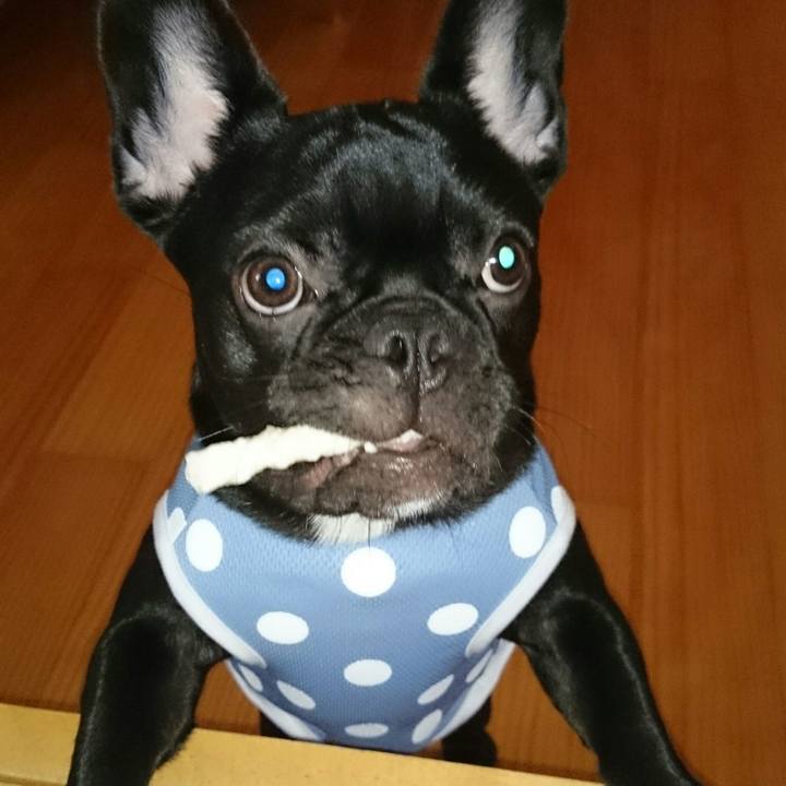 15c97182 893a 4710 b3e1 893ed48dad6a