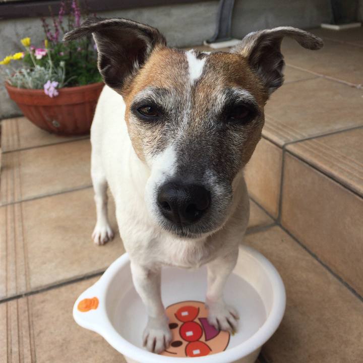 15c97b7f 92ca 4c5c ac49 2271e8cc796c