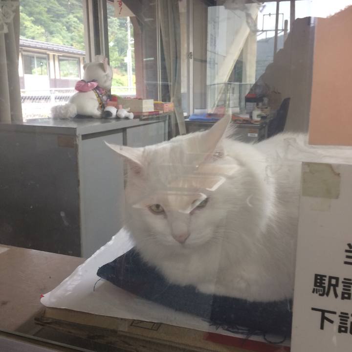 15c98c5b ea18 4e05 8d1f 2549a2bc24fa