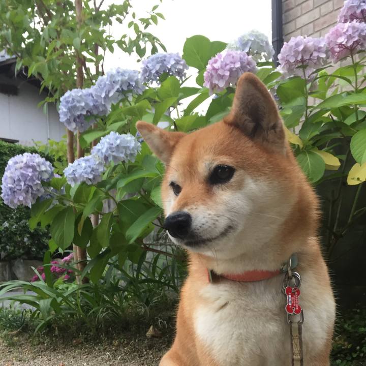 15ca3678 2bd9 48bc 97c3 fc11ffb41f05