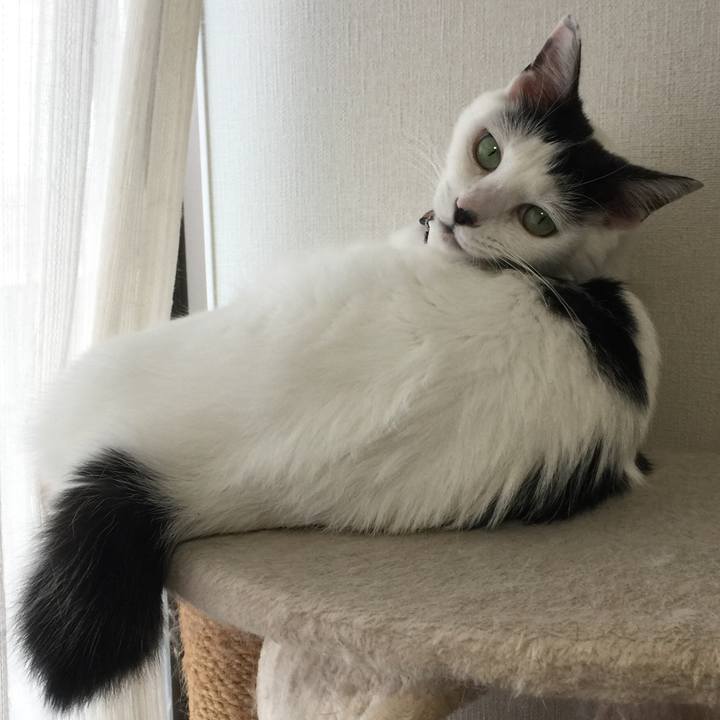 15ca937f d74a 40ba 8380 58c158ec0bc9