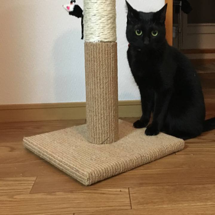 15cab55f 31b8 4af5 b814 ded84c43a45c