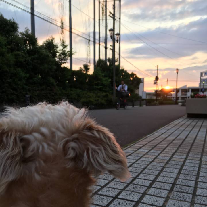 15cb0079 4e5c 467a 820f 7d0555f25a79