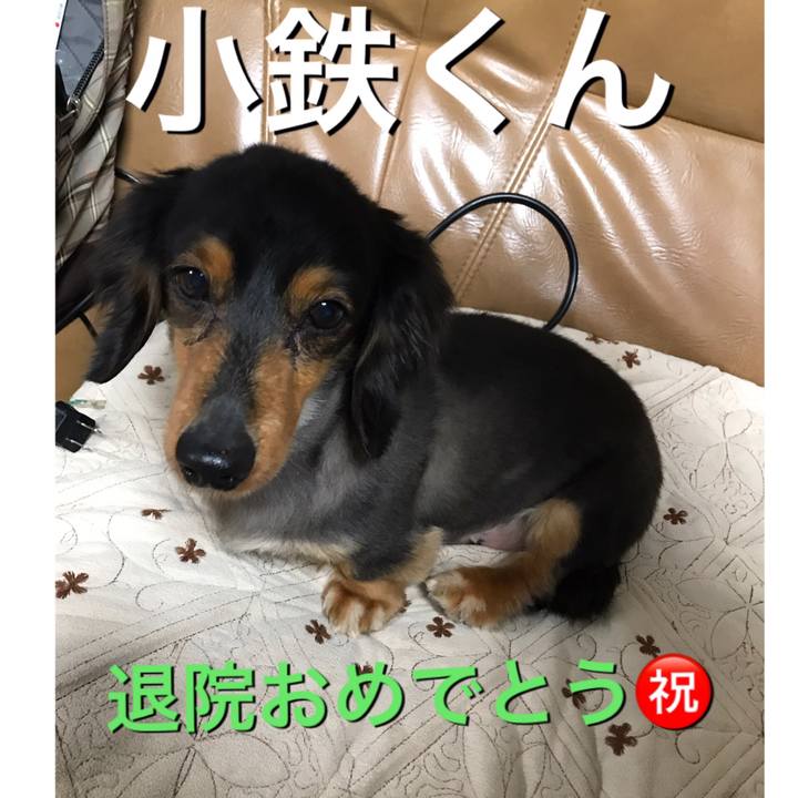 15cb670b ca71 4f22 a14f ee354fed55ae