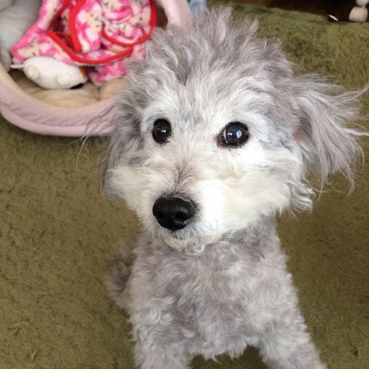 15cb93d4 4512 4d2e b3f5 414b05d79612