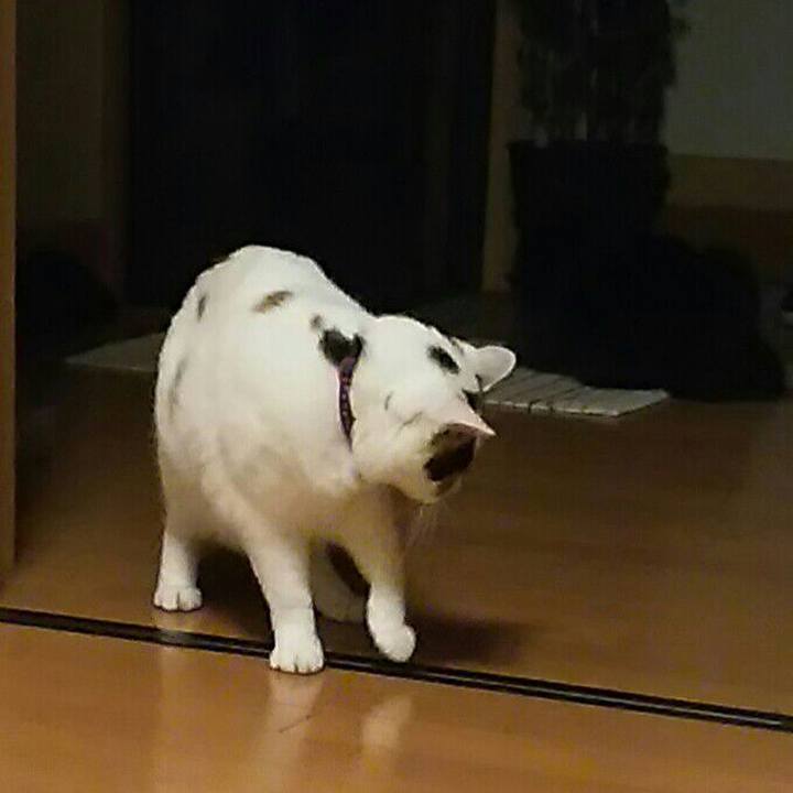 15cc3af2 5c9f 4395 b2a3 f16ae49d6d2e