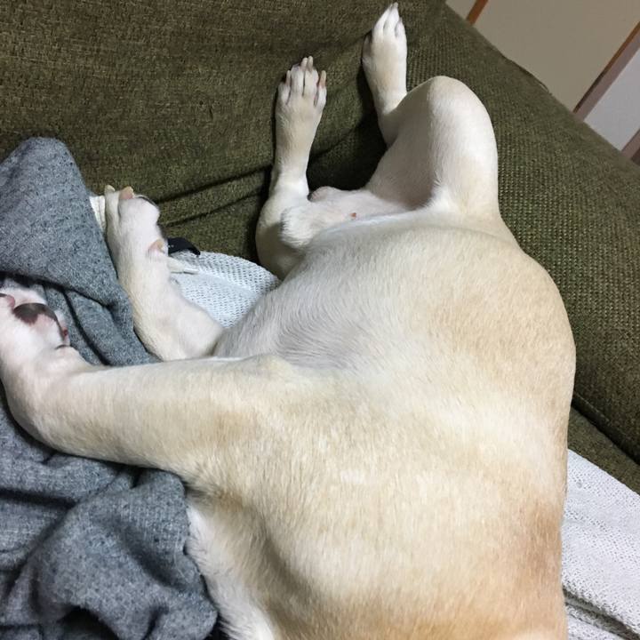 15cc3de4 a170 4260 b32f fbe82da2bdfe