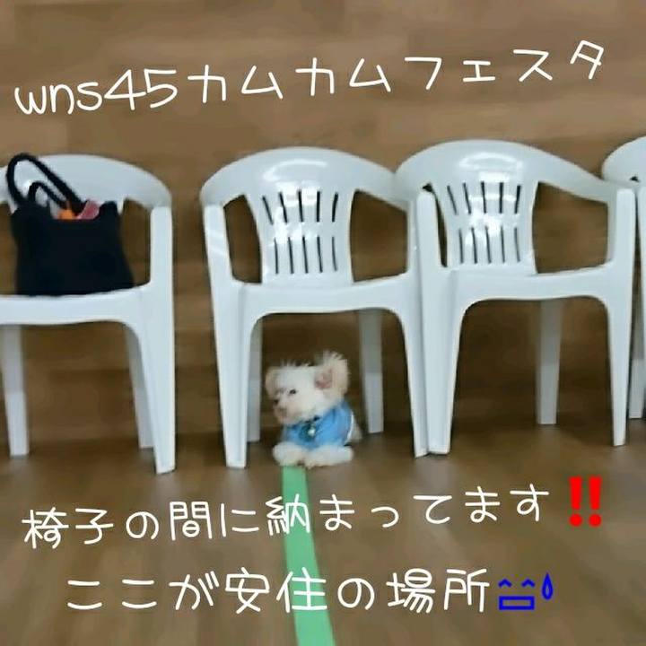 15cd37aa 36e3 450c 8da5 412005f4a8fe