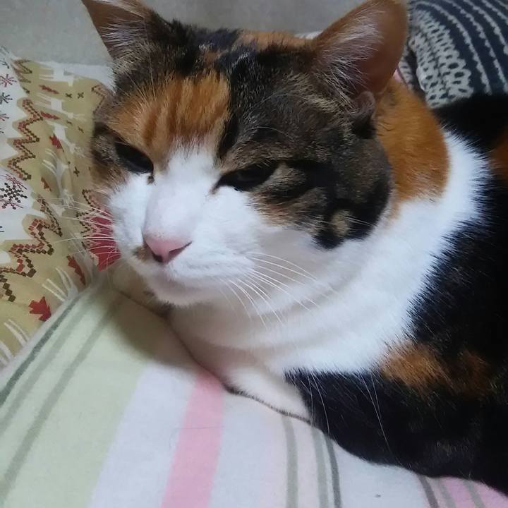 15cd8570 5b7e 41fd a8e0 e56aad82fcd7