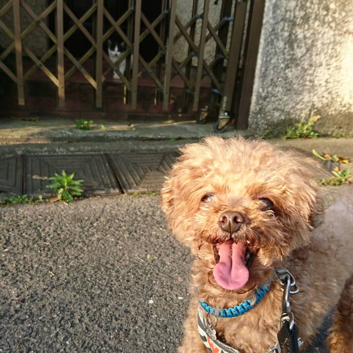 15cdd7db 883b 4af3 987e 0377646712d2