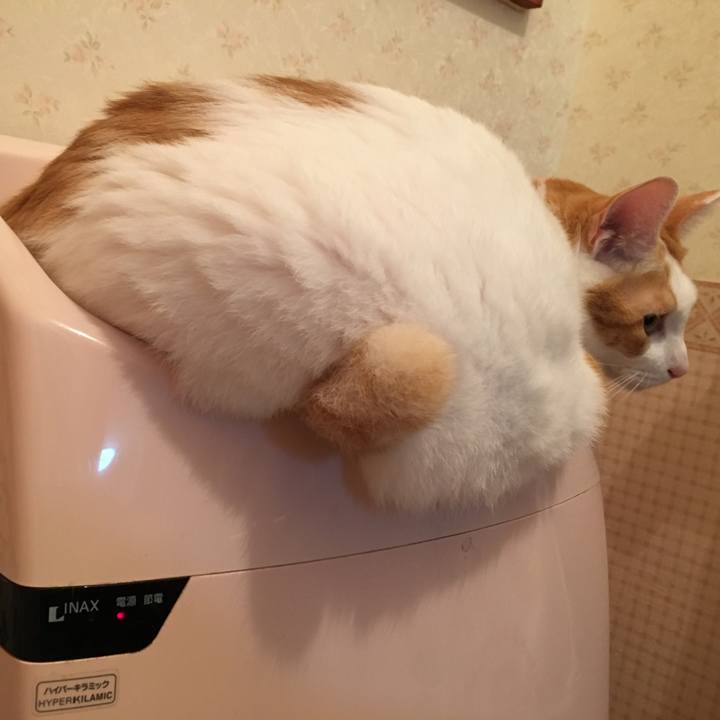 15ce20af 3149 44f2 b45f 6ed967a1652b