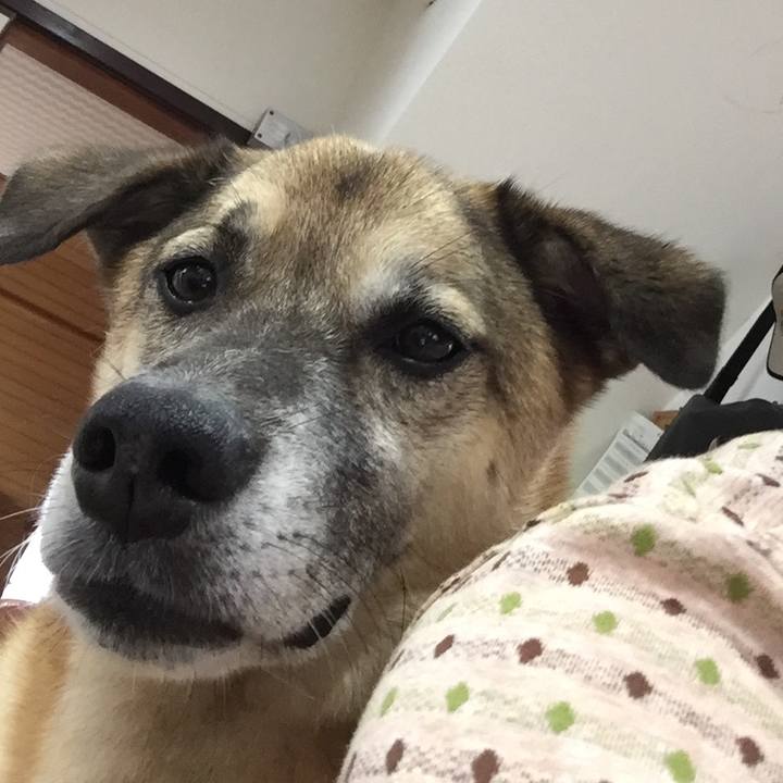 15ce47b8 a761 4f5c 93f2 0fa83efa5f72