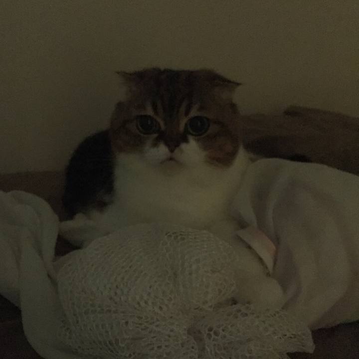 15ced111 648b 406e 9417 7c1da4c2d91c