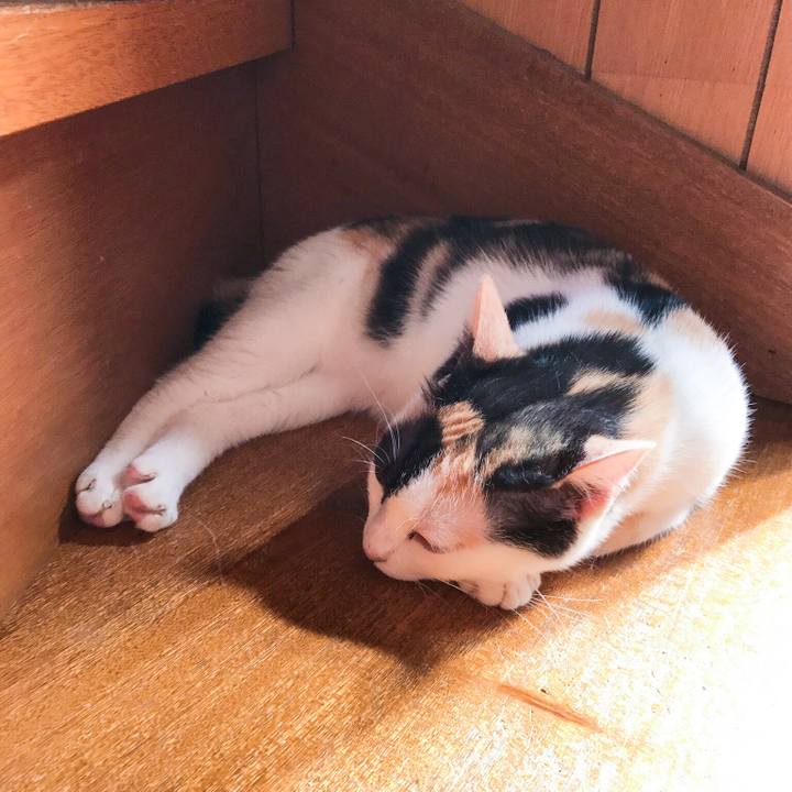 15cf0622 185a 4025 b7f7 e6ec3b1ec7bd