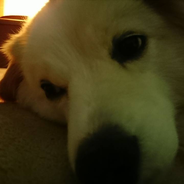 15cf2076 e947 4cad 81cb 9ccb07ee70fa