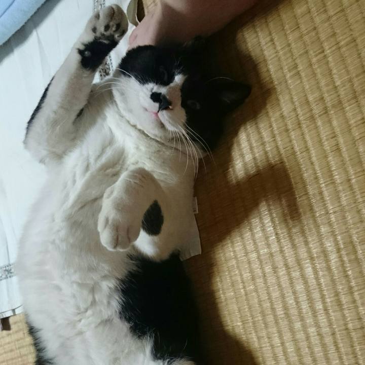 15cf6f9f 4a2b 4251 9471 1286db44cb5b