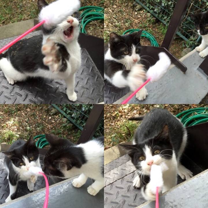 15cfd52e ffb5 4401 942f 66a04011bf25