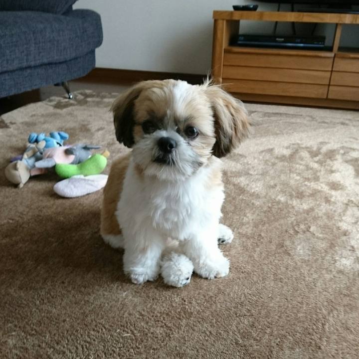 15d08c5e 7962 4ae3 b256 103b87b30530