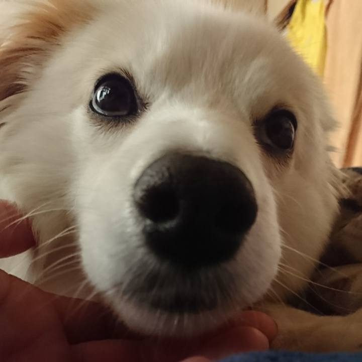 15d096c6 e90a 4104 8f7c e4c8a7a6e4ad