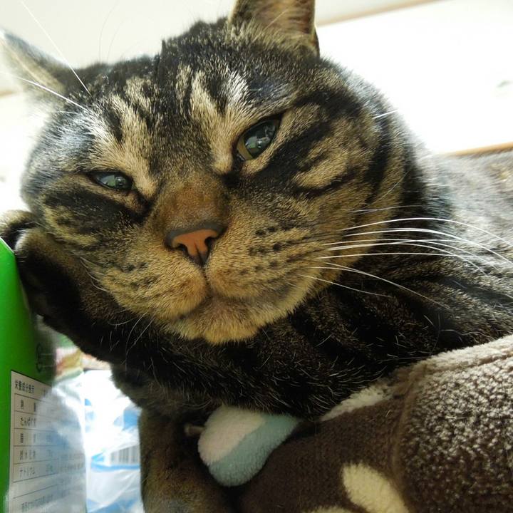 15d0a99f 669c 4a1c ab2a 888e603024e8