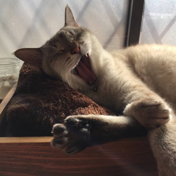 15d0bbb3 3683 45b1 aead c352dd20a8ae