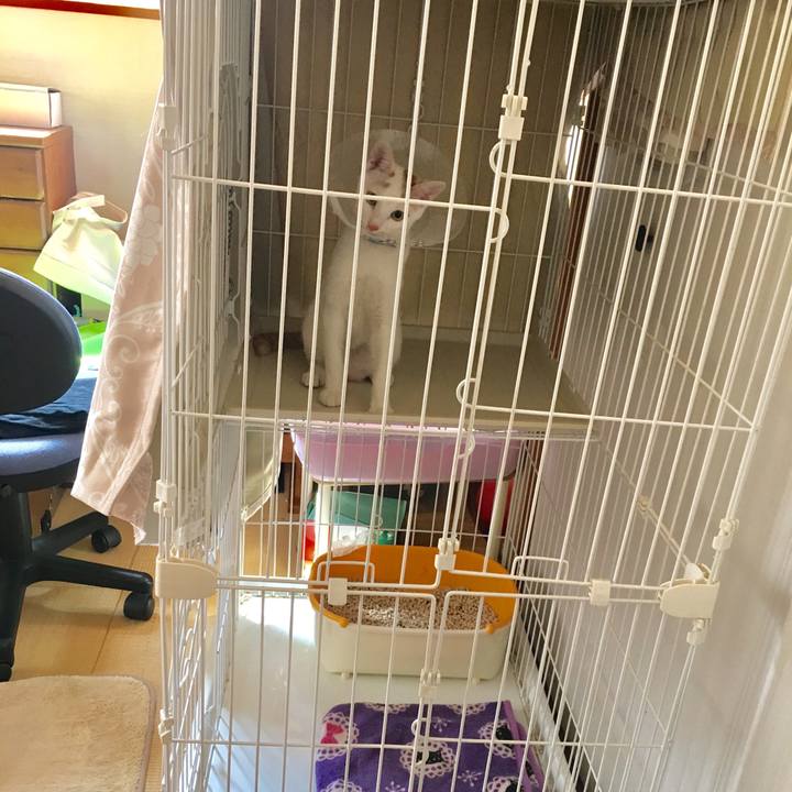 15d0c68f a825 482e a5aa 472bad86b19c