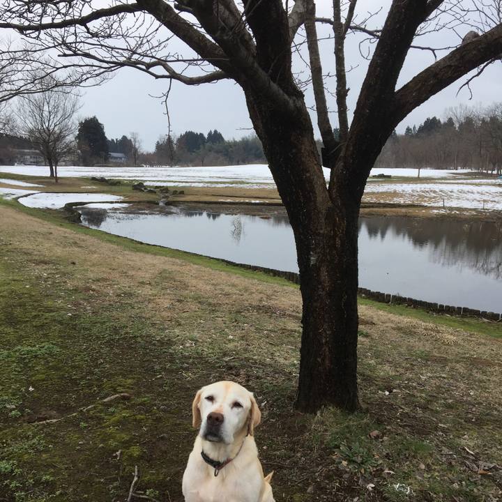 15d16f62 aa24 4057 8adb 1de37f8158f2