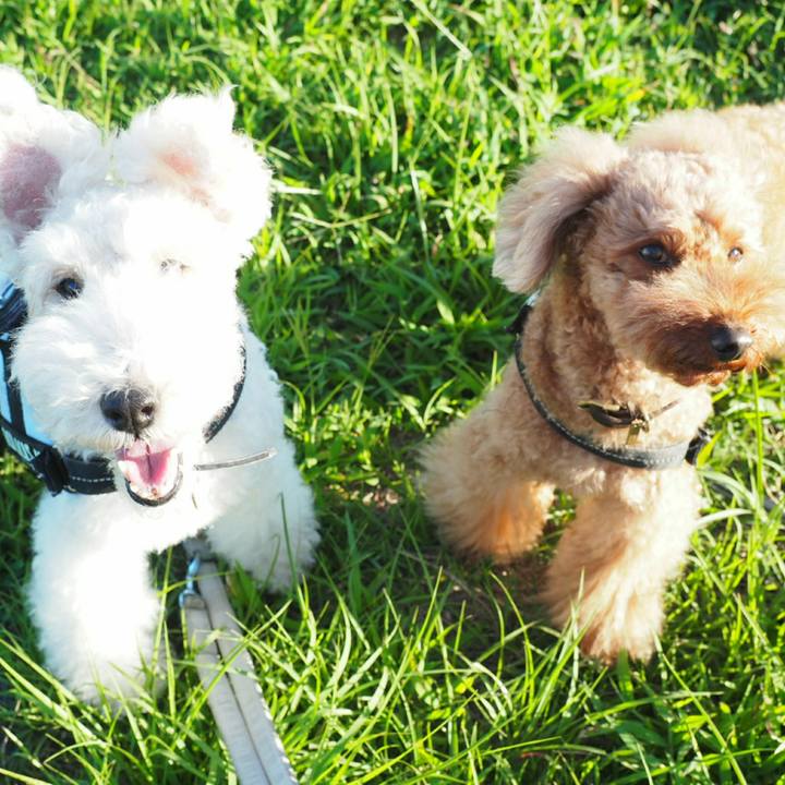 15d1bbc2 2b61 4a79 bc07 41f83b55c374