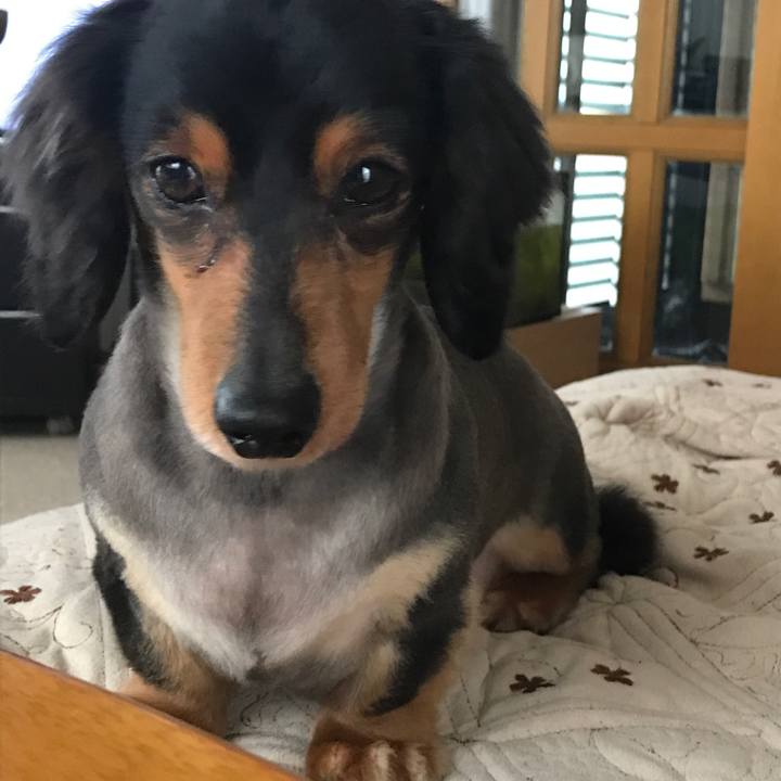 15d220bc bc44 48c2 9a32 9c8ba509dd4e