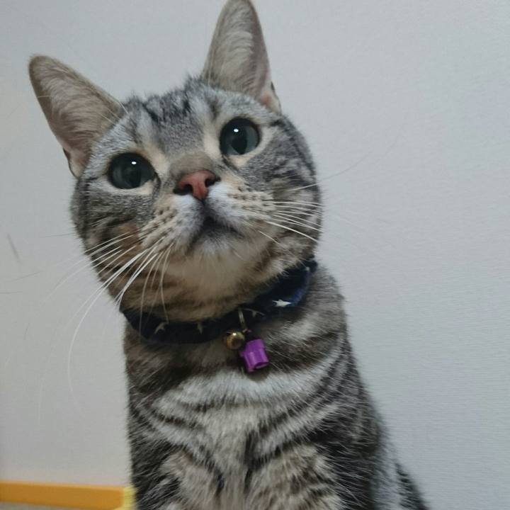 15d2db54 1aa8 487d b649 d0fa0a87b700