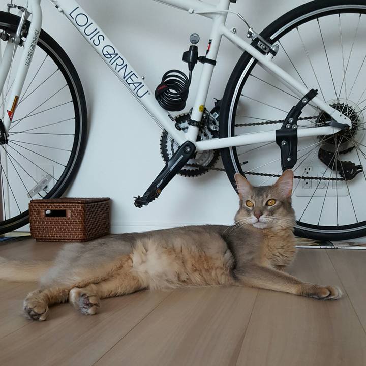 15d316ca b9e1 4cd6 9379 b74eae523faa