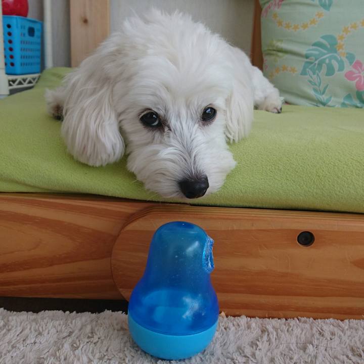 15d34a19 ce79 4239 b5b2 76f6fb9fa6c0