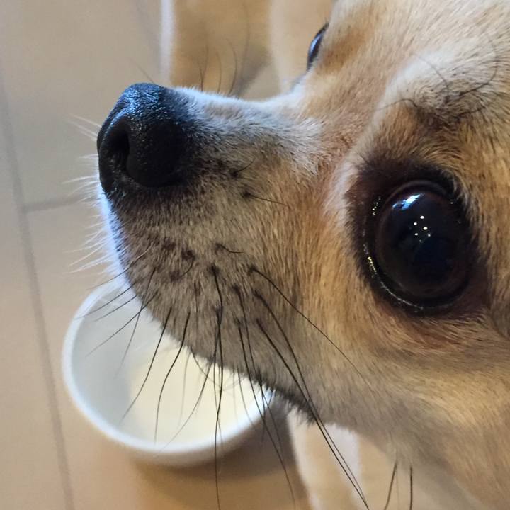 15d36fb6 0ee1 483b aff6 83935fe59aec