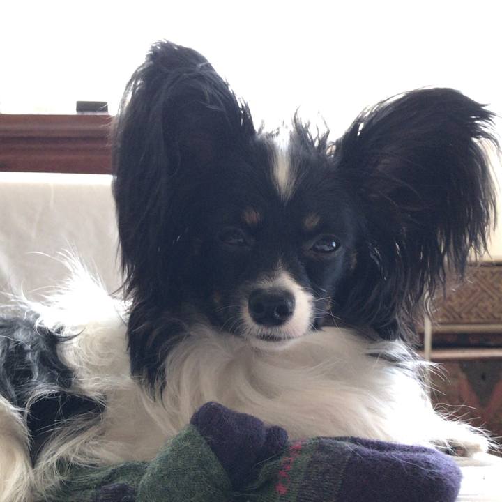 15d39619 ae65 4ff3 bc39 ba81937e16fe