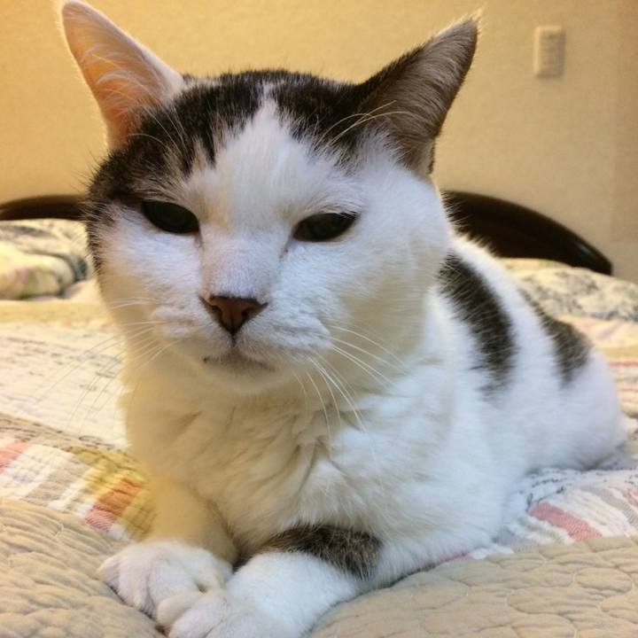 15d3ab7b 765d 4013 8d64 856622b147f9